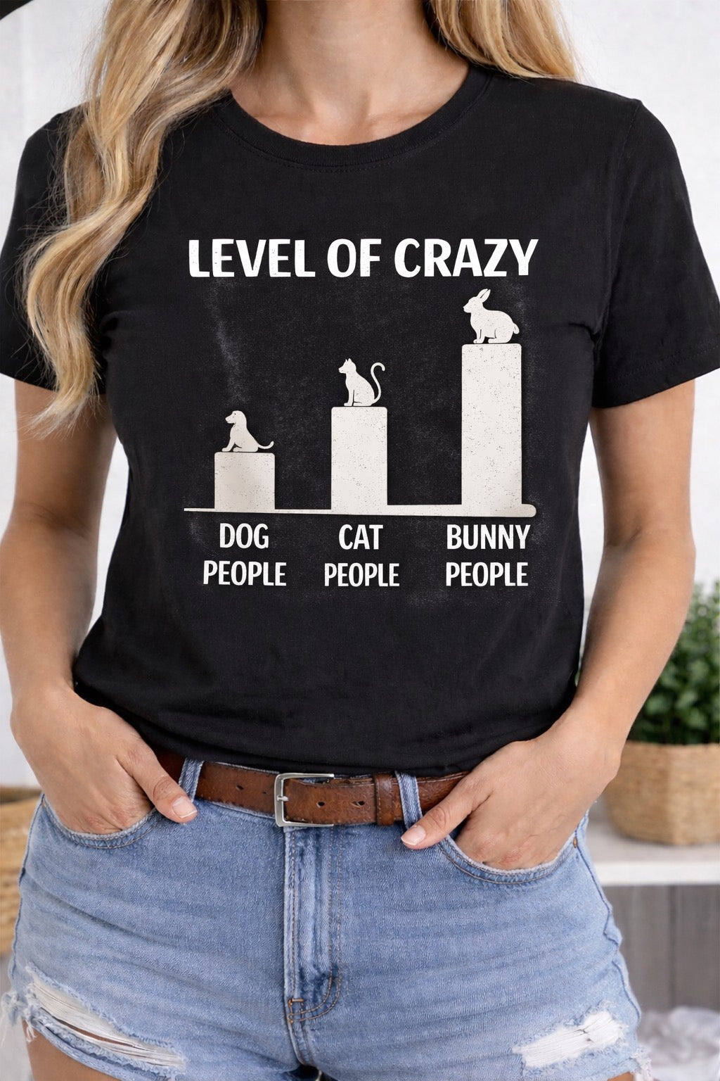 Level Of Crazy