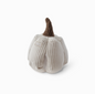 snuffle ball - slow feeder 